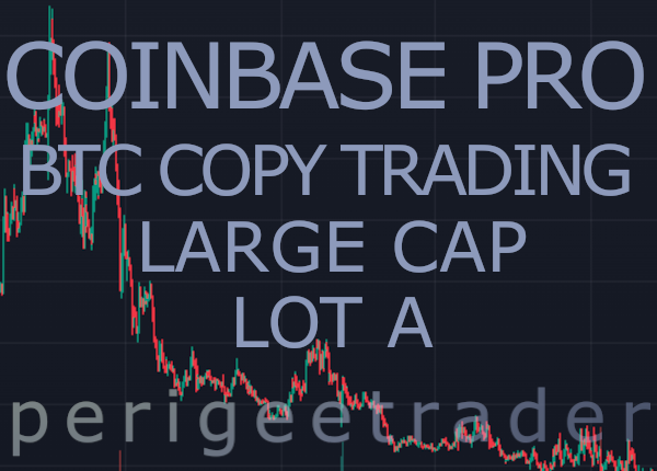 ragnar.d | INTRO SALE | PerigeeTrader
